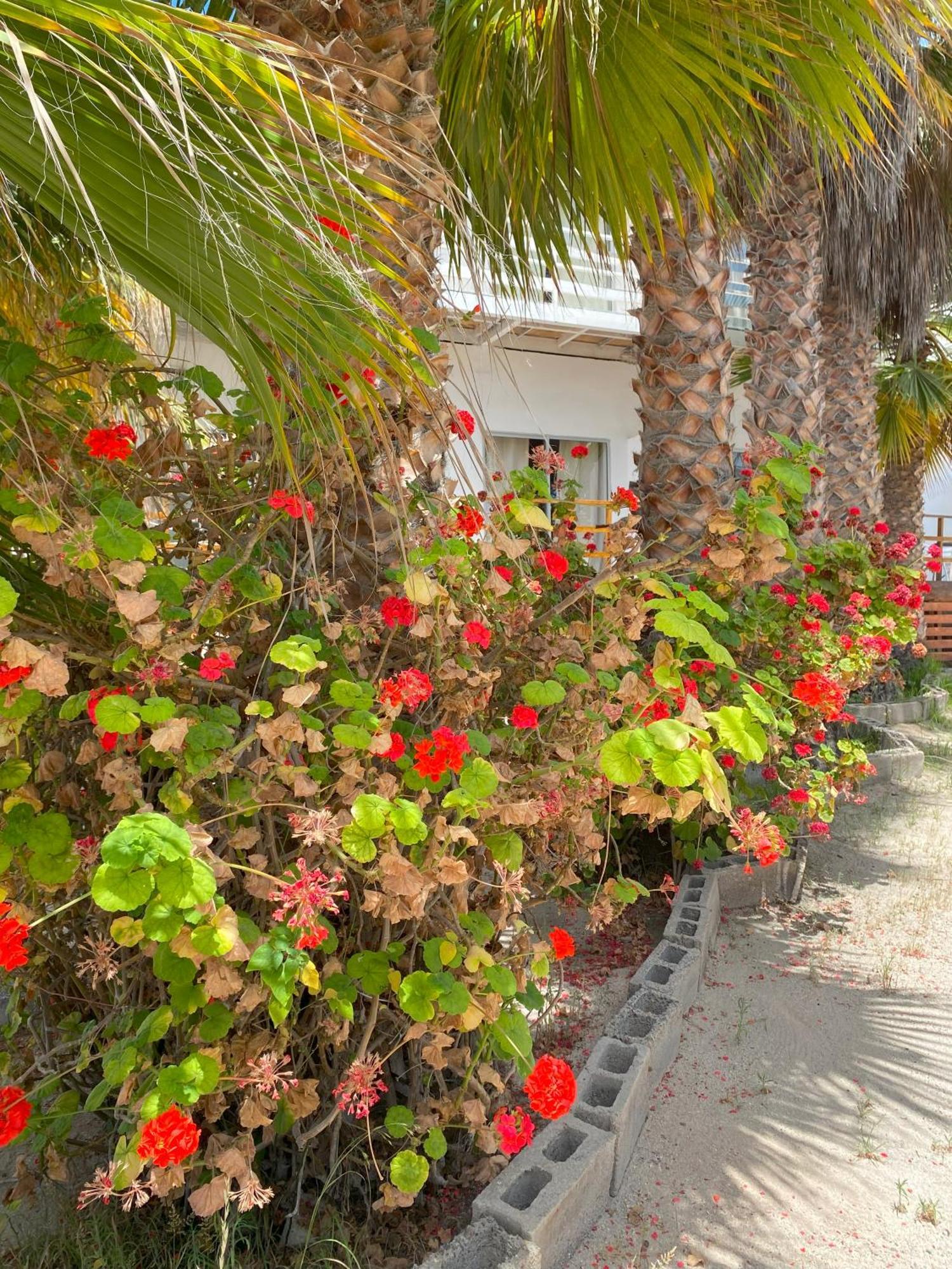 Hotel & Cabanas El Mirador カルデラ エクステリア 写真