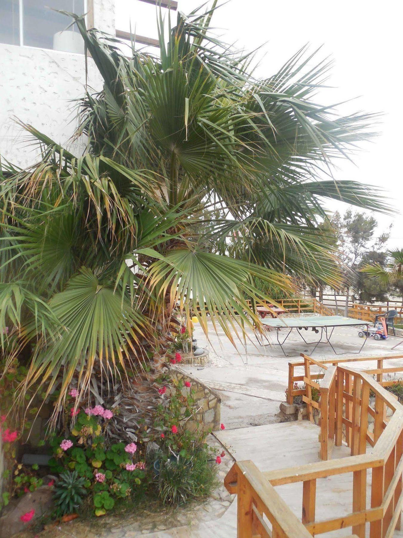 Hotel & Cabanas El Mirador カルデラ エクステリア 写真
